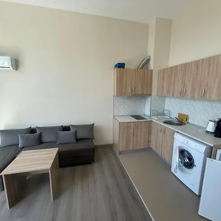 公寓 Nereya Palace 帕莫瑞